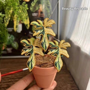 Indoor Tropical Plants Handmade Embroidery Green Plant Potted Plants